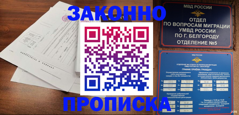 прописка в Шумихе